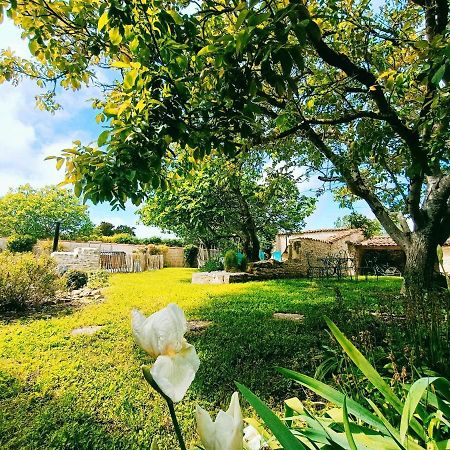 Gite 3 Etoiles Avec Spa, 2 Chambres Le Logis De Pearl Salles-sur-Mer Extérieur photo