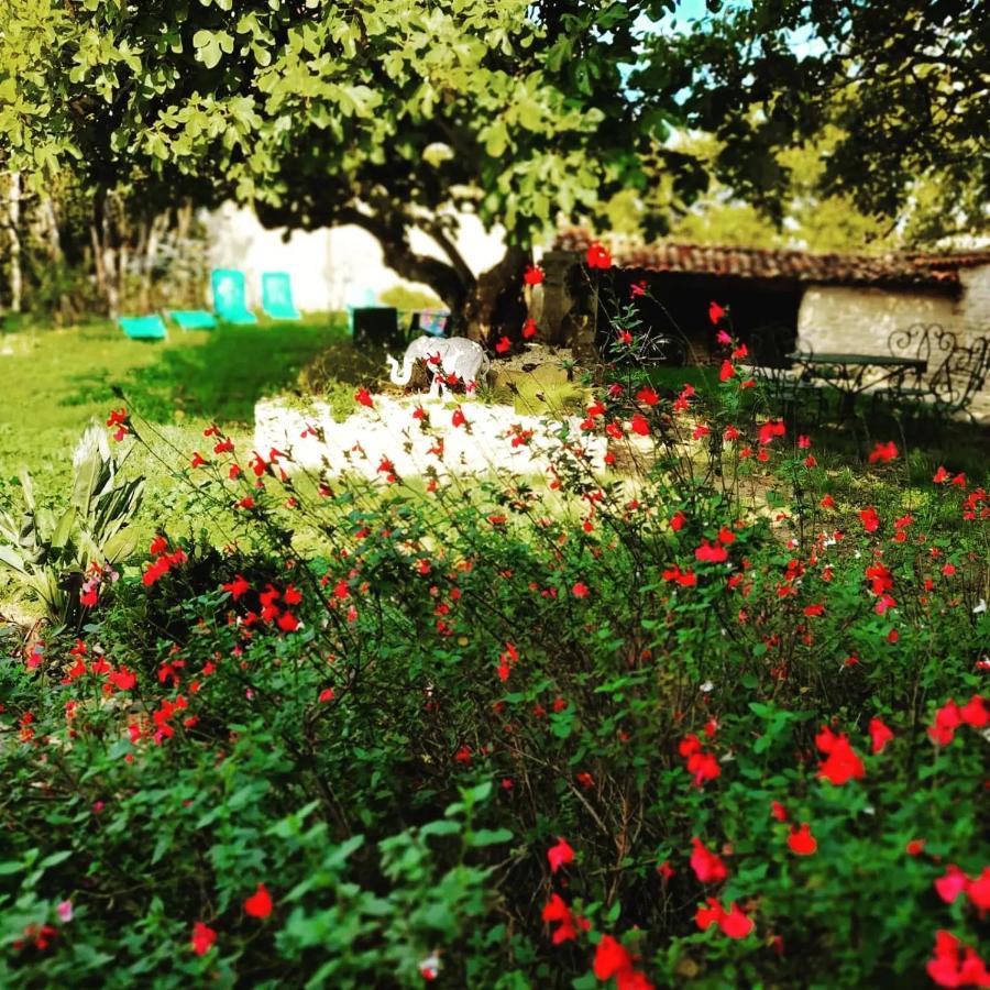 Gite 3 Etoiles Avec Spa, 2 Chambres Le Logis De Pearl Salles-sur-Mer Extérieur photo